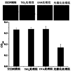 一种基于光催化淬灭群体感应信号的生物膜控制方法