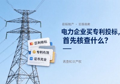 电力企业买发明专利用于投标，首先核查什么？